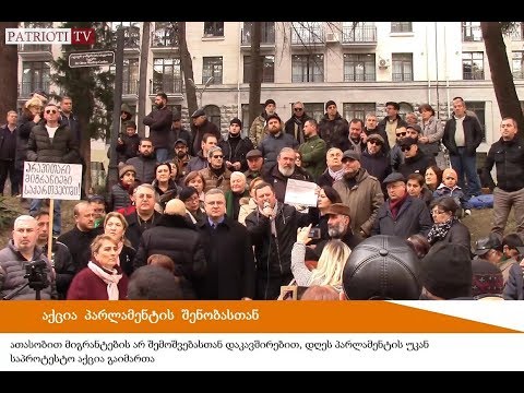 აქცია პარლამენტთან მიგრაციული პოლიტიკის წინააღმდეგ 28/01/2019